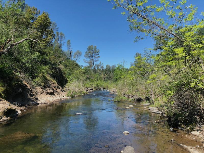 Bear Creek Falls Lodge On 67 Acres Creek & Waterfalls Millville Eksteriør billede