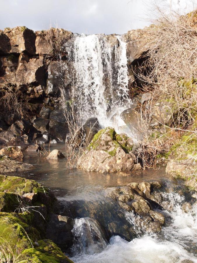 Bear Creek Falls Lodge On 67 Acres Creek & Waterfalls Millville Eksteriør billede