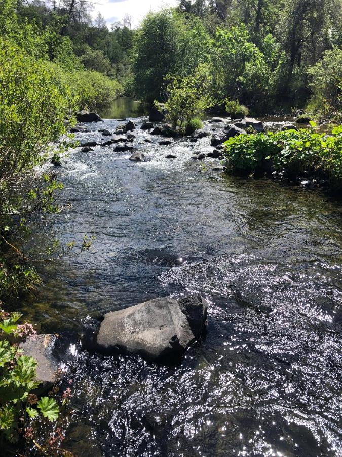 Bear Creek Falls Lodge On 67 Acres Creek & Waterfalls Millville Eksteriør billede